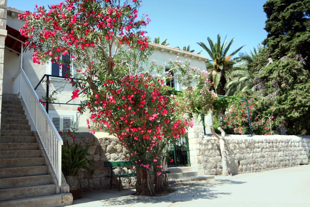 Guest House Katica ซาตอน ภายนอก รูปภาพ
